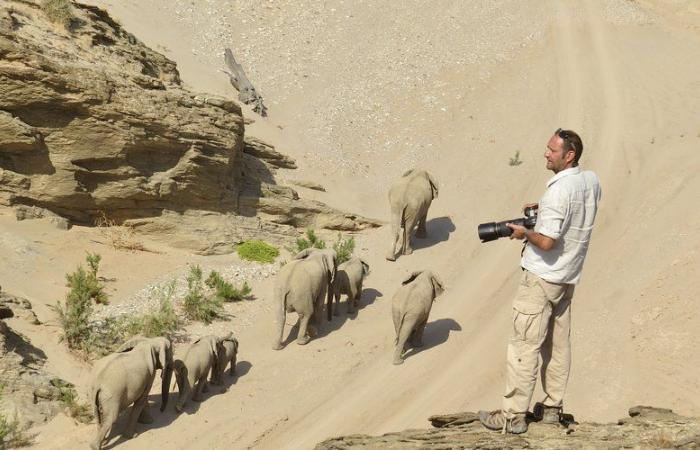 Los Tarnais en el fin del mundo: David Rey, Mazamétain que se convirtió en fotógrafo de safaris en Namibia