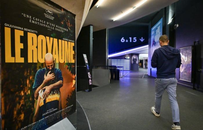 Un gran año para el cine francés y corso en la pantalla y en las salas