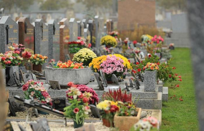 “Desde principios de año, estamos claramente en un pico de muertes. Ayer ya empezó bien”