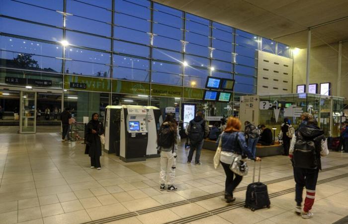 Un joven de 23 años fue asesinado con un martillo y un cuchillo en la estación de Angers