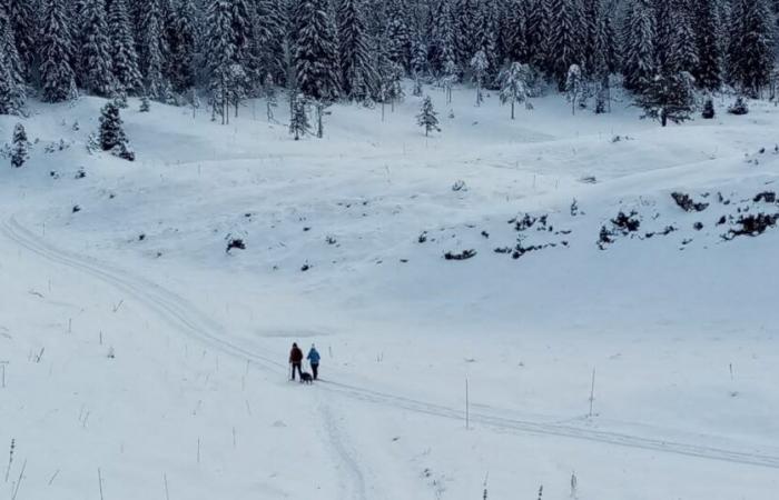 Meteorología. En la red social X, el Jura adquiere aires de Siberia