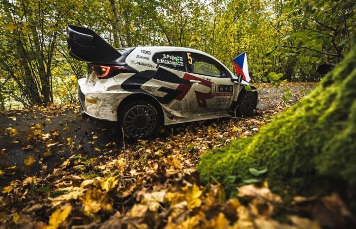 WRC – Sami Pajari en un equipo Toyota “B” en 2025: ¿qué significa eso?