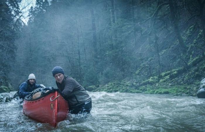 “Un oso en el Jura”, “Pájaro”, “Todo irá bien” y “Seis días”