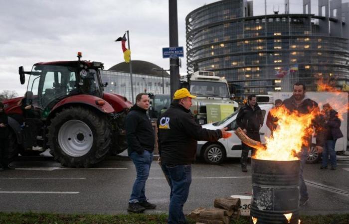 prohibición de manifestaciones en Rungis y en el centro de París