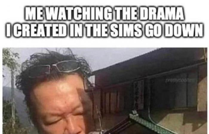 18 situaciones que todos los adictos a los “Sims” conocen