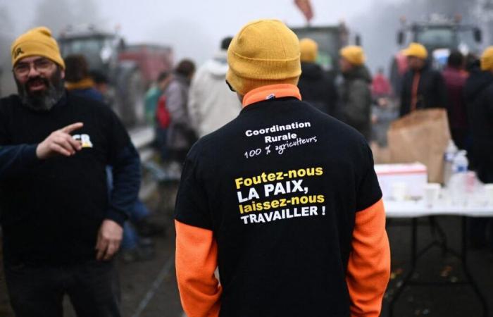 Las autoridades prohíben “cualquier reunión no declarada” en el centro de París y Rungis este domingo.