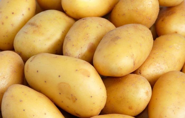 Carrefour, Intermarché, Super U…. Patatas retiradas del mercado en toda Francia