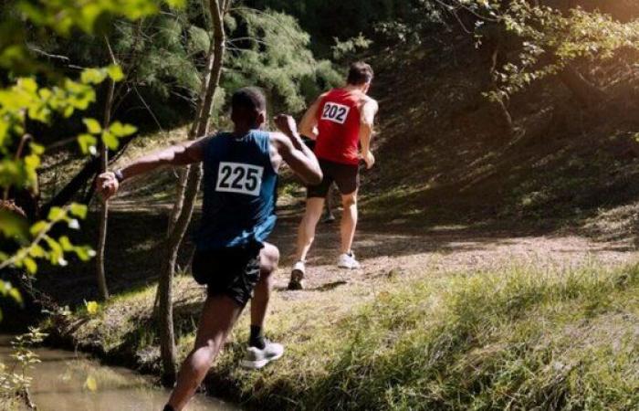 El fascinante mundo del Aire Trail – Le Petit Journal