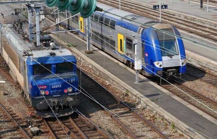 Informe meteorológico. Debido a la depresión de Floriane, ¿qué trenes no circularán este lunes 6 de enero en Hauts-de-France?