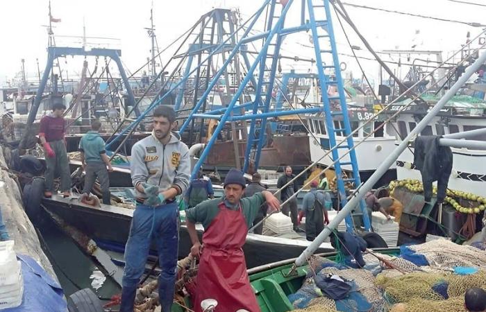 Aumento del 7% de los desembarques pesqueros en el puerto de Sidi Ifni