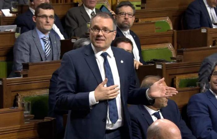 El diputado federal Luc Berthold sufre cáncer