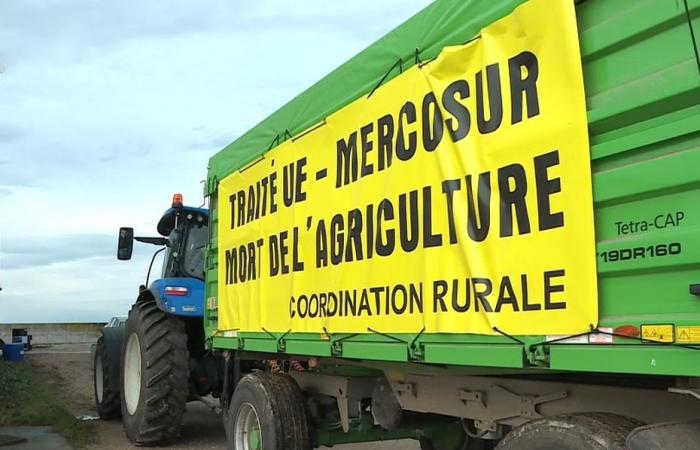 Los agricultores de la Coordinación Rural se dirigen este domingo por la tarde a París