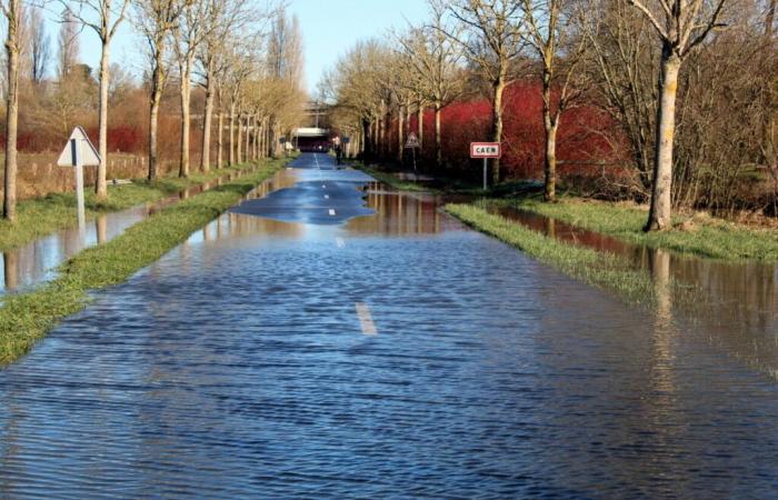 una carretera cerrada al tráfico, barreras acuáticas instaladas