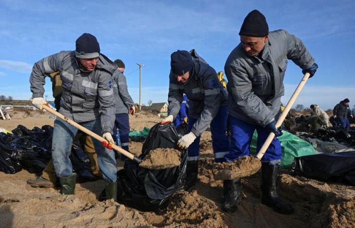 Derrame de petróleo en Rusia | Más de 30 cetáceos encontrados muertos en el Mar Negro