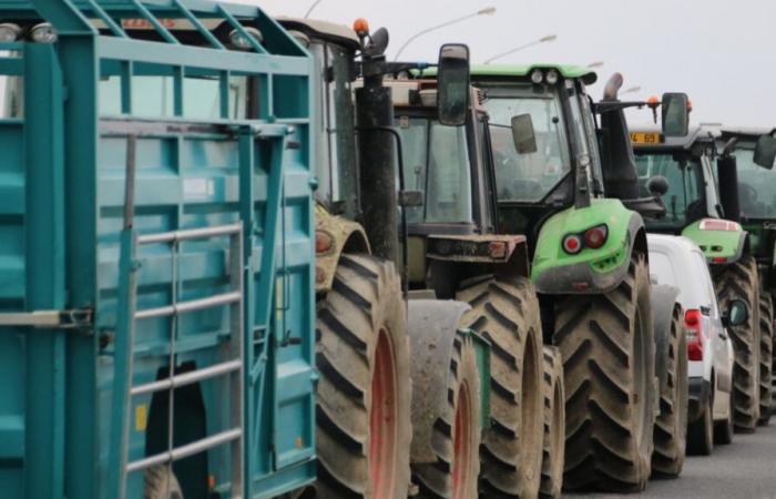 Los agricultores del Ródano movilizan sus tractores para bloquear Lyon este lunes