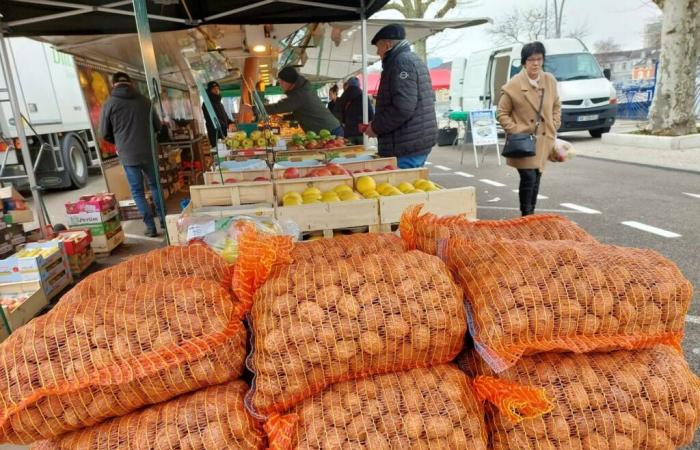 Montceau – El mercado de los sábados, víctima de una ola de frío, funciona peor, explicaciones