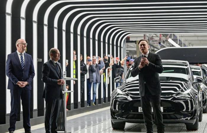 Musk y Putin, la doble injerencia que preocupa a Europa