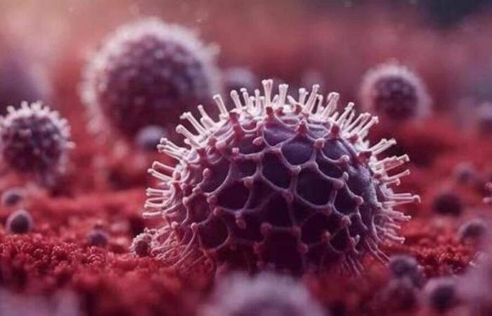 ¿Es un virus nuevo? ¿En qué se parece al Covid-19? ¿Existe alguna vacuna? Lo que sabemos hasta ahora