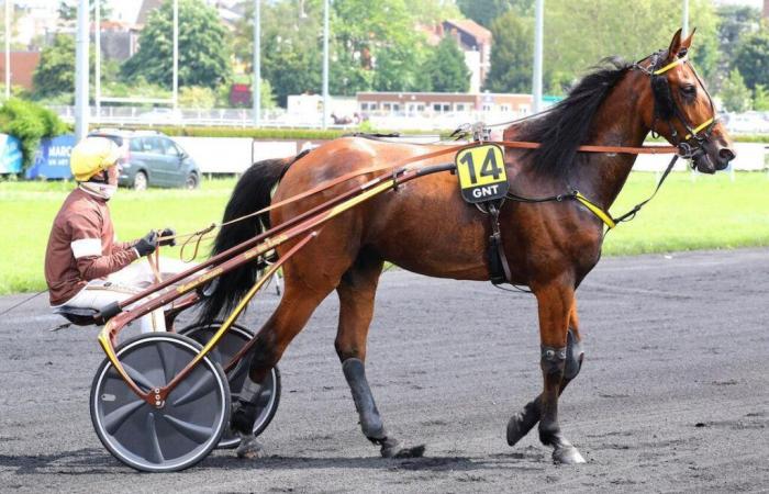 Agenda de la semana (6 al 12 de enero): última oportunidad para América en el Premio de Bélgica – America Races Q6, el esperado Prix de Croix de esta semana y una gran carrera en Cagnes/Mer