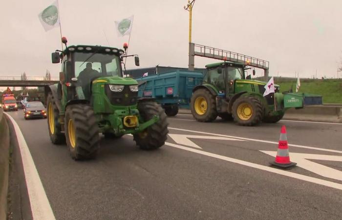 una actualización de las acciones previstas por la Coordinación Rural que mantiene su llamado a manifestarse