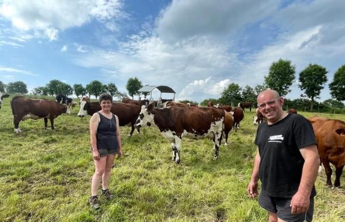 “Unirse al grupo Dephy es un verdadero impulso para nuestra cría en Cantal”