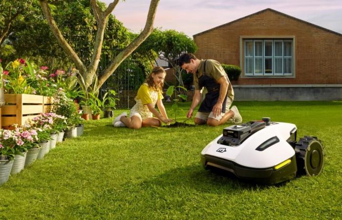 Cómo se adaptan estos dos robots cortacésped a jardines pequeños y medianos