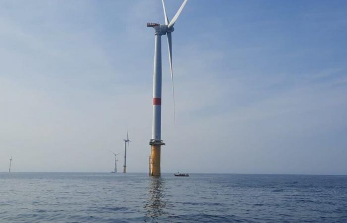 El proyecto de un parque eólico frente a la costa de Dunkerque es ampliamente cuestionado en Bélgica