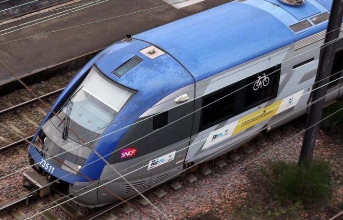 Trenes cancelados por la tormenta Floriane