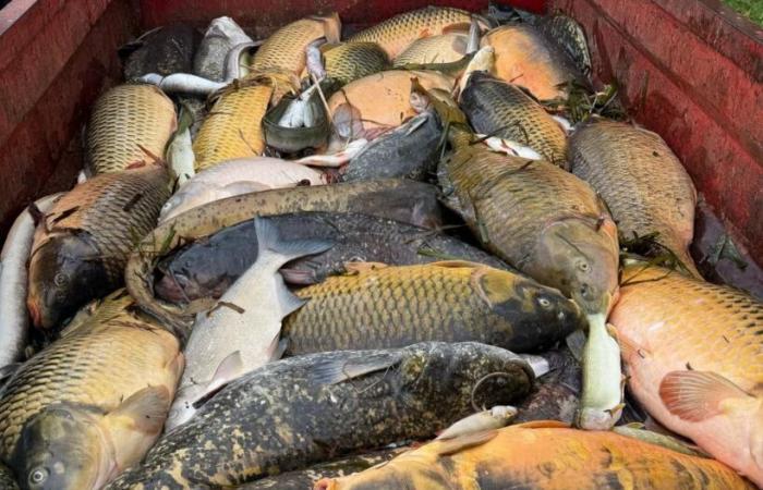 Prohibidas la pesca y las actividades acuáticas hasta finales de enero