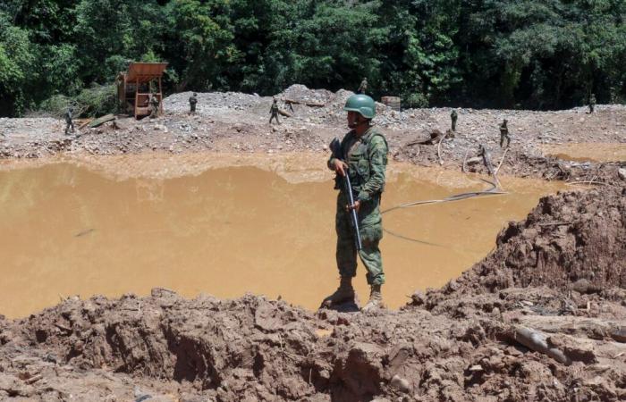 En la Amazonía ecuatoriana, autoridades incapaces de frenar la fiebre del oro, “catastrófica” para la región