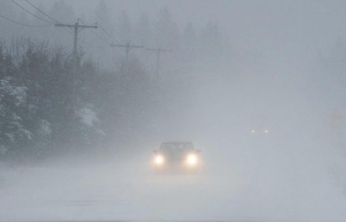 El este de EE.UU. paralizado por una gran tormenta