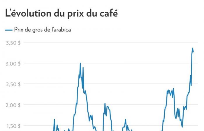 Por qué los precios del café están subiendo (otra vez)