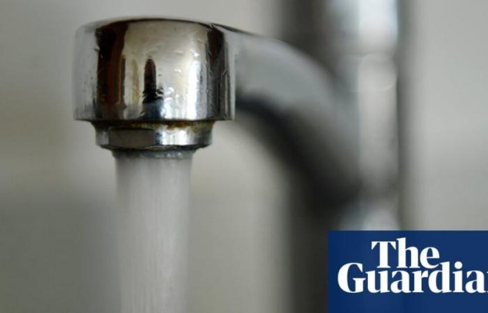 E coli encontrada en el suministro de agua de propiedades en el sureste de Londres