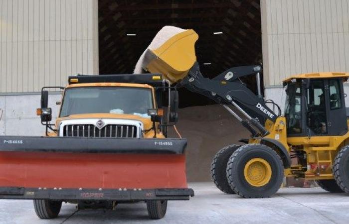 Tormenta de nieve cubre el área de Baltimore | FOTOS – Baltimore Sun