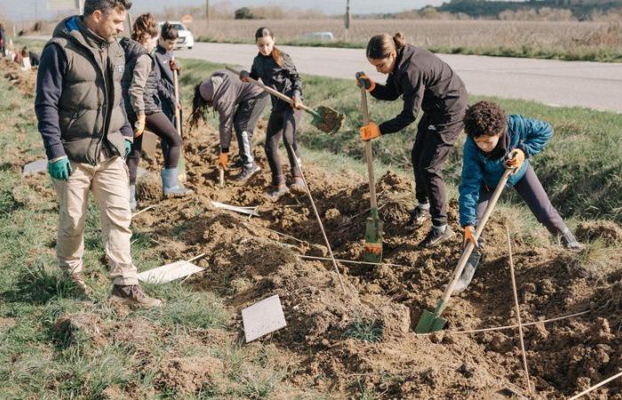 Cómo el 1er Plantatlón, en Aude, atrajo a 200 participantes