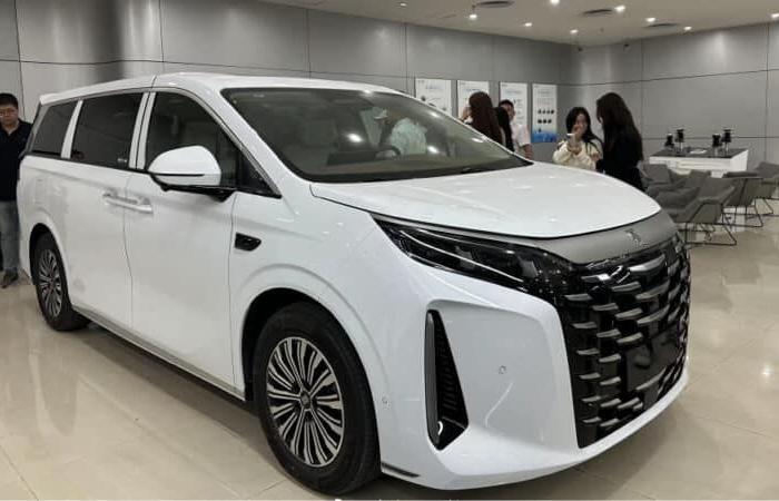 La minivan BYD Xia PHEV llegó a los distribuidores antes del lanzamiento