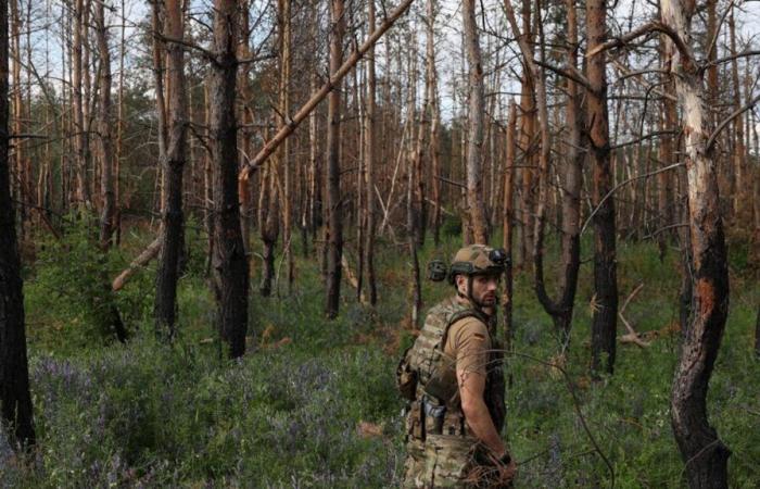 La brigada “Anne de Kyiv” formada en Francia afectada por una ola de deserciones, lo que sabemos