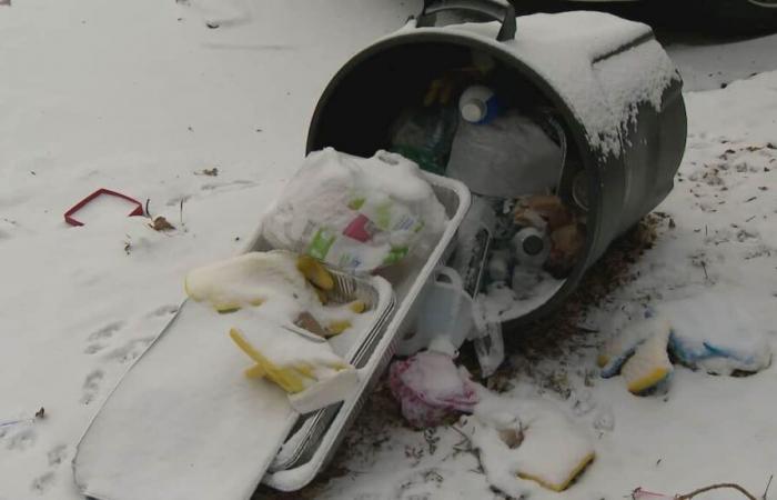 Montreal, la ciudad de la basura | El diario de Montreal