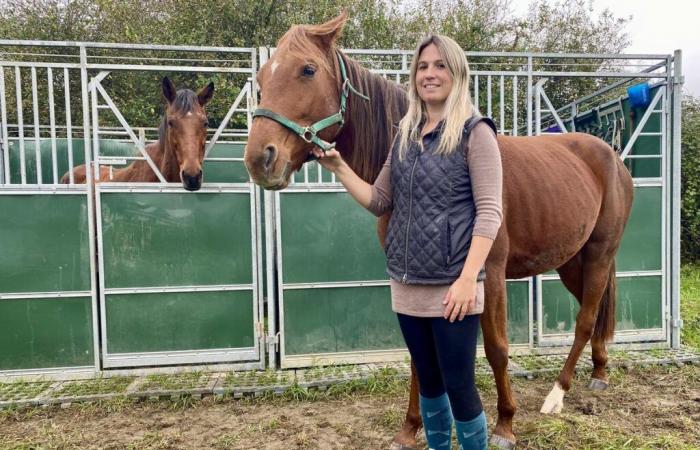 el Refugio de Aventuras, un remanso de paz para animales abandonados