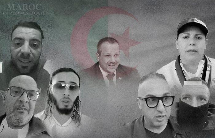 Serie de detenciones de influencers que apoyan a Tebboune en Francia