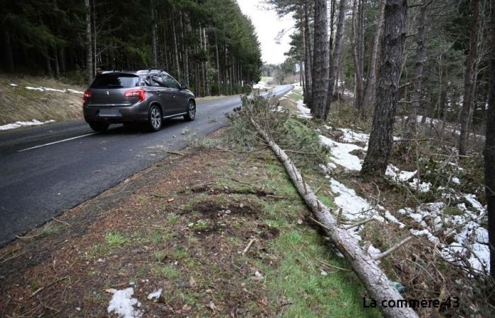 Ráfagas de viento superiores a 100 o incluso 110 km/h en Alto Loira