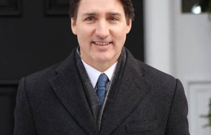 aquí hay 7 posibles sucesores de Justin Trudeau