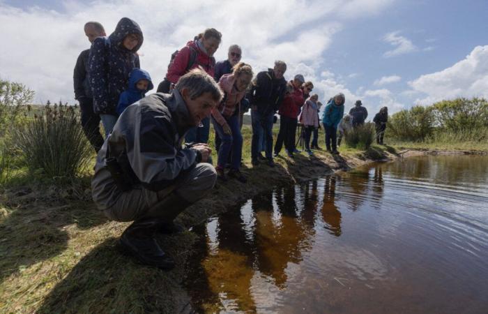 En esta localidad de Cotentin, a finales de mayo se celebra la Fiesta de la Naturaleza