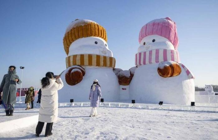 La Reina de las Nieves en la vida real… Vea las esculturas de dingos en el Festival de Hielo de Harbin, China