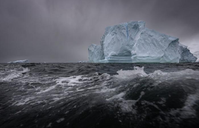 Satélites apuntados sobre el Pacífico para asegurar a los últimos patrones de la Vendée Globe.