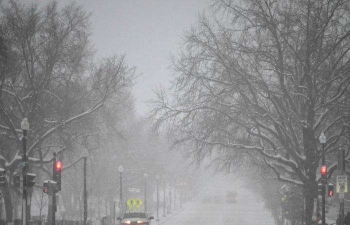 VIDEO. Accidentes complicados, estado de emergencia… Estados Unidos azotado por una gran tormenta invernal, 60 millones de personas afectadas