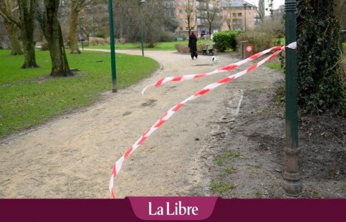 EN VIVO – Mal tiempo violento en Bélgica: caen carteles en la plaza De Brouckère, se observan daños en varios lugares del país