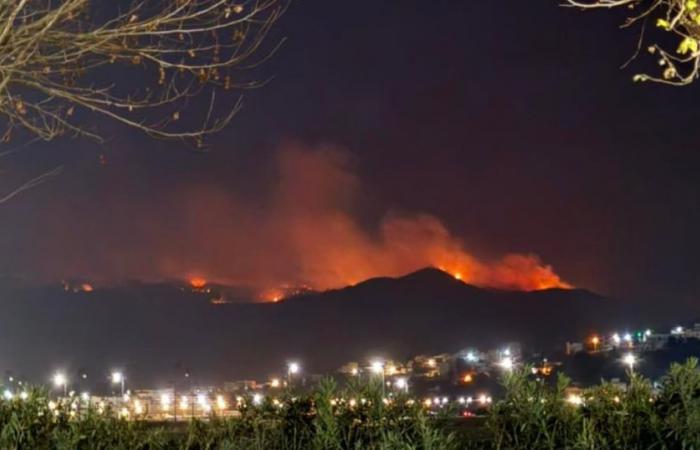 Un incendio arrasa más de 100 hectáreas de bosque cerca de Tetuán