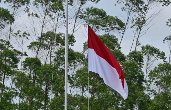 Brasil anuncia el ingreso de Indonesia al bloque de países emergentes