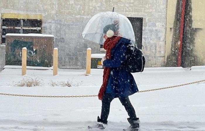 Tormenta de nieve cubre el área de Baltimore | FOTOS – Baltimore Sun